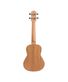 ukulele-concerto-kal-320-cm