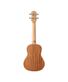 ukulele-concerto-kal-300-cs