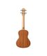ukulele-concerto-kal-220-cs-