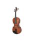 viola-4-4-estudante-dominante