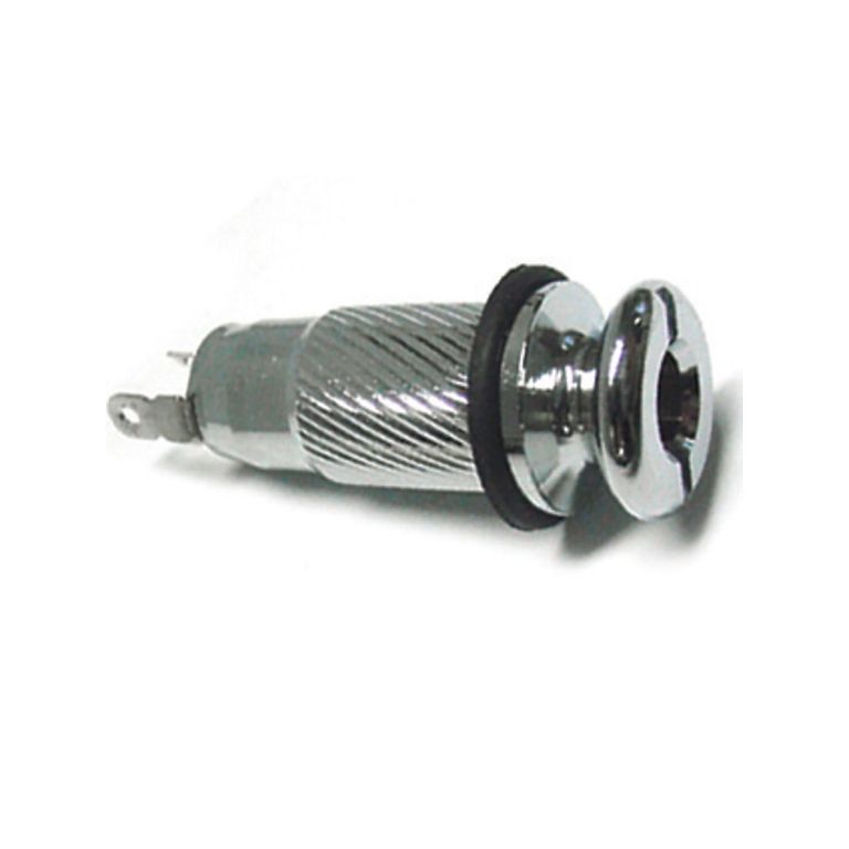 jack-roldana-frisado-dolphin