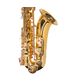 saxofone-tenor-dourado-dominante