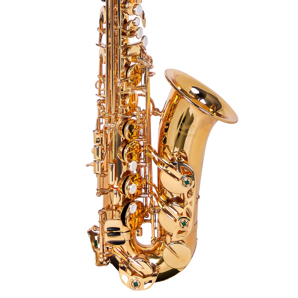 Saxofone Alto Dominante Dourado com Semicase Izzo