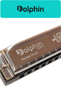 Dolphin